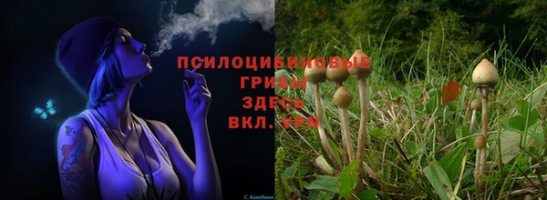 меф Куйбышев
