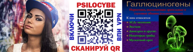 Купить закладки  Карачев  Галлюциногенные грибы Cubensis 